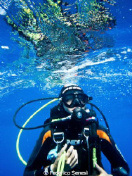 Diver by Federico Senesi 